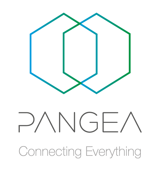 Pangea | Connecting Everything