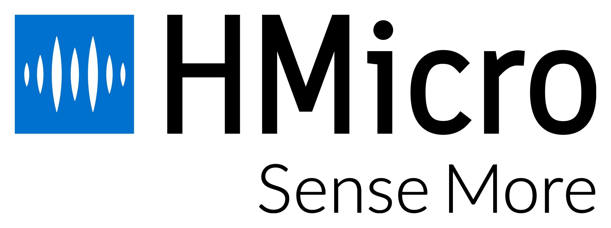 HMicro Logo