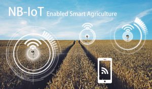 Image2-NB-IoT-Enabled-Agriculture