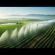 refreshment from as sprinklers arc water geometric greenery fields