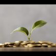 Front view of plant growing from golden coins