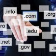 Website hosting concept with domains