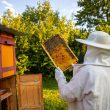 A beekeeper