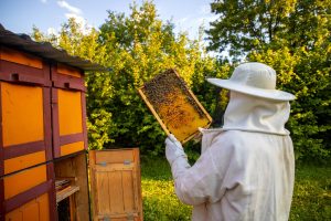 A beekeeper
