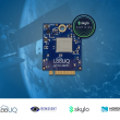 nRF9151 with Skylo, LooUQ and Remsight