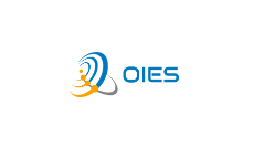 OIES Consulting