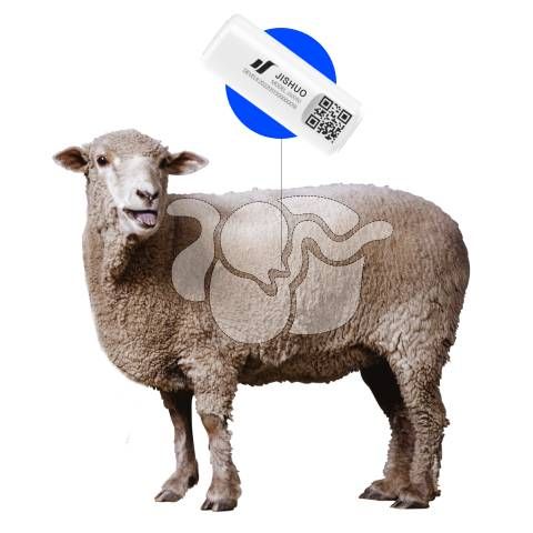 Smart Rumen Bolus for Sheep Monitoring